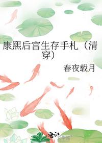 康熙后宫生存手札（清穿）